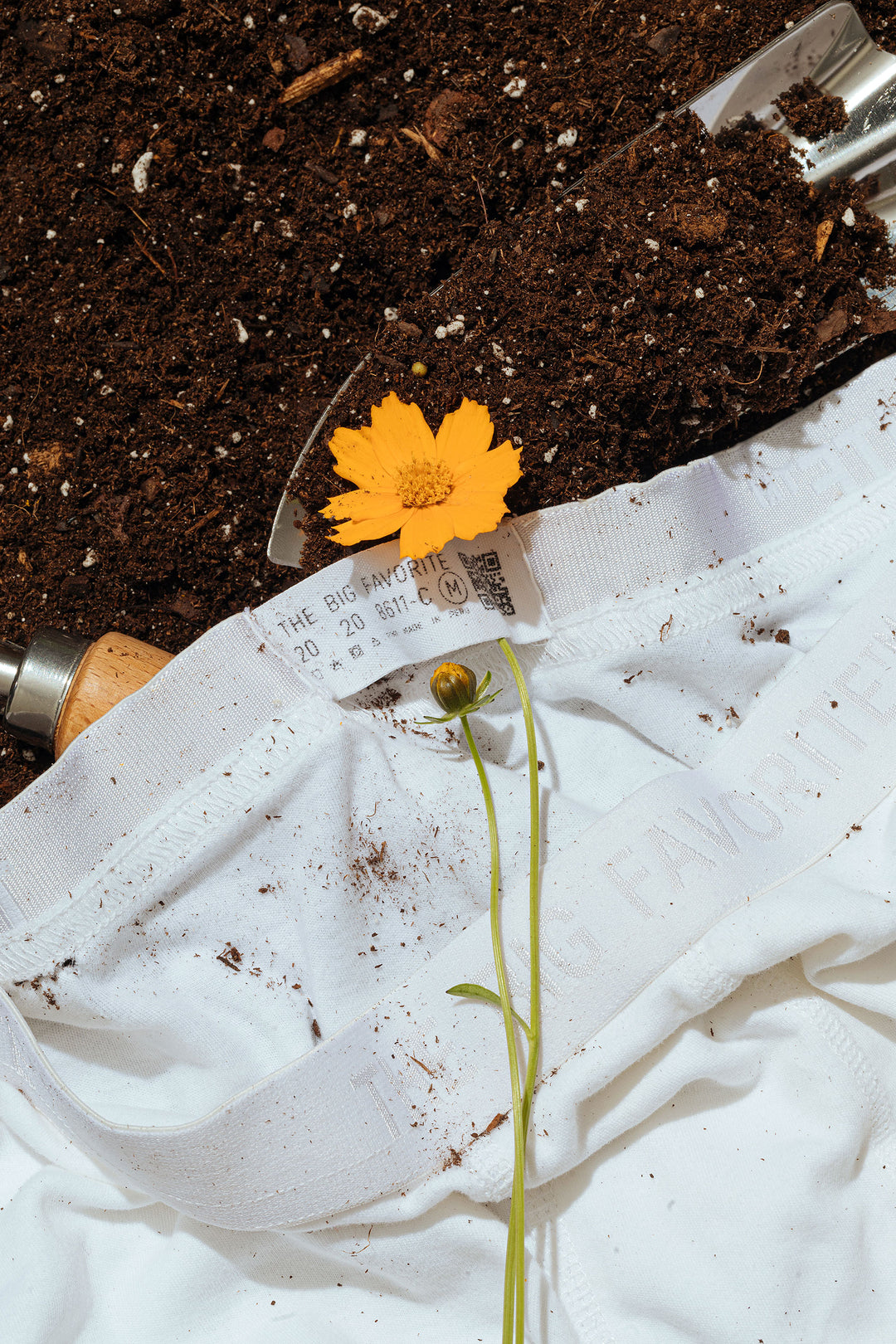 Clean Soils, Clean Waterways