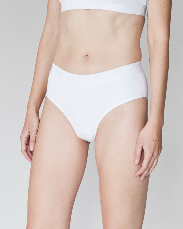 The High Waisted Brief