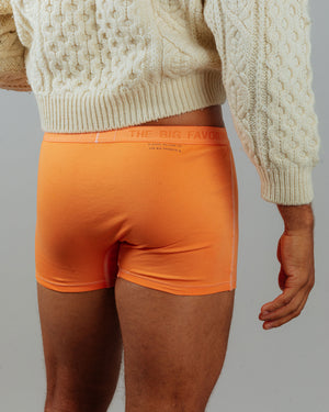 The Natural Dye Boxer Brief – The Big Favorite