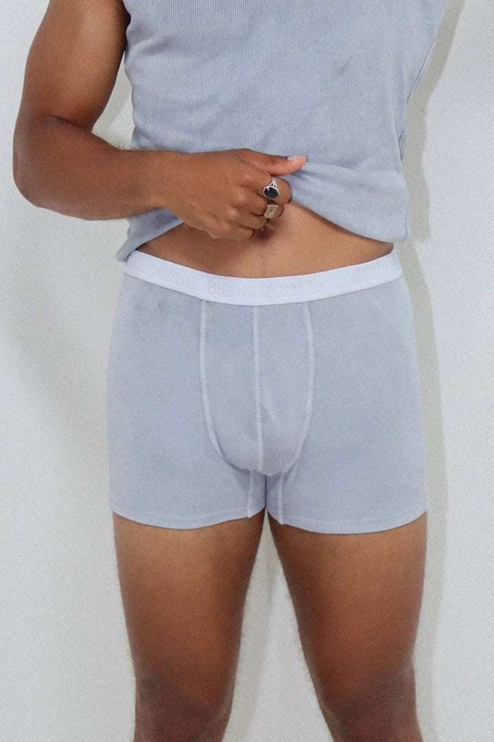 The Natural Dye Boxer Brief