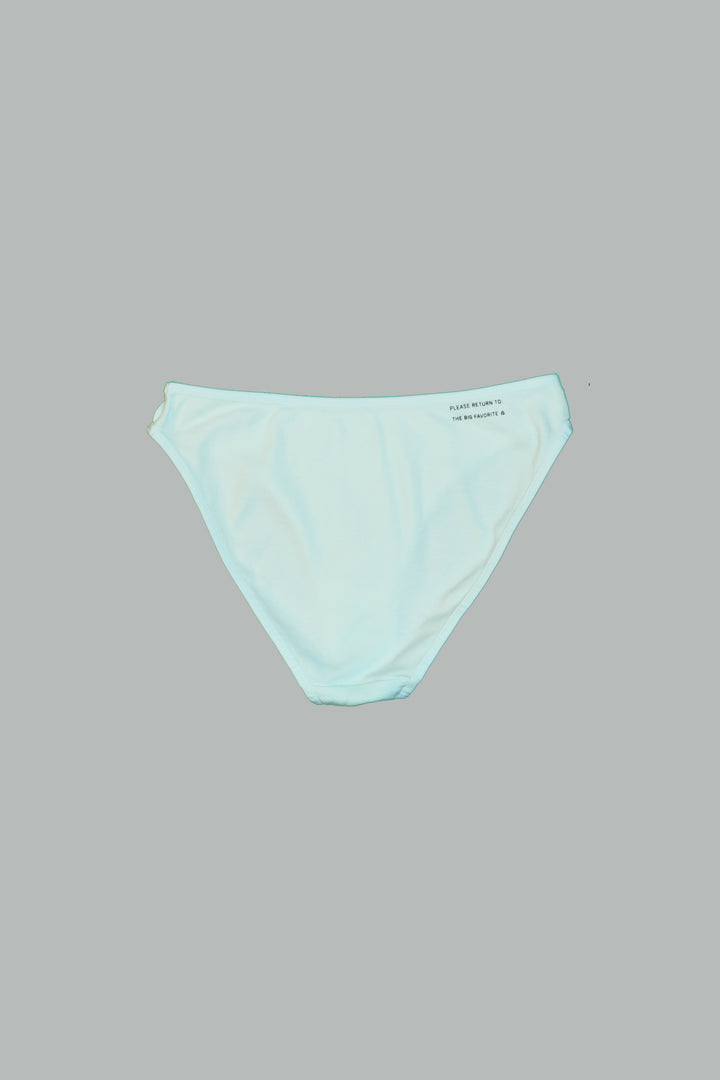 The Natural Dye Bikini Brief
