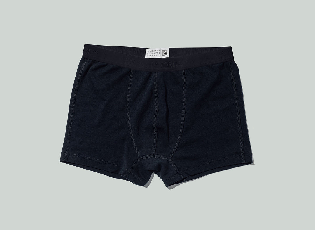 The Boxer Brief